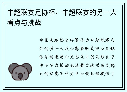 中超联赛足协杯：中超联赛的另一大看点与挑战