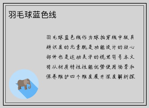 羽毛球蓝色线